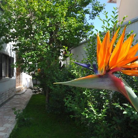 Manelisa Cascais Bed and Breakfast Buitenkant foto